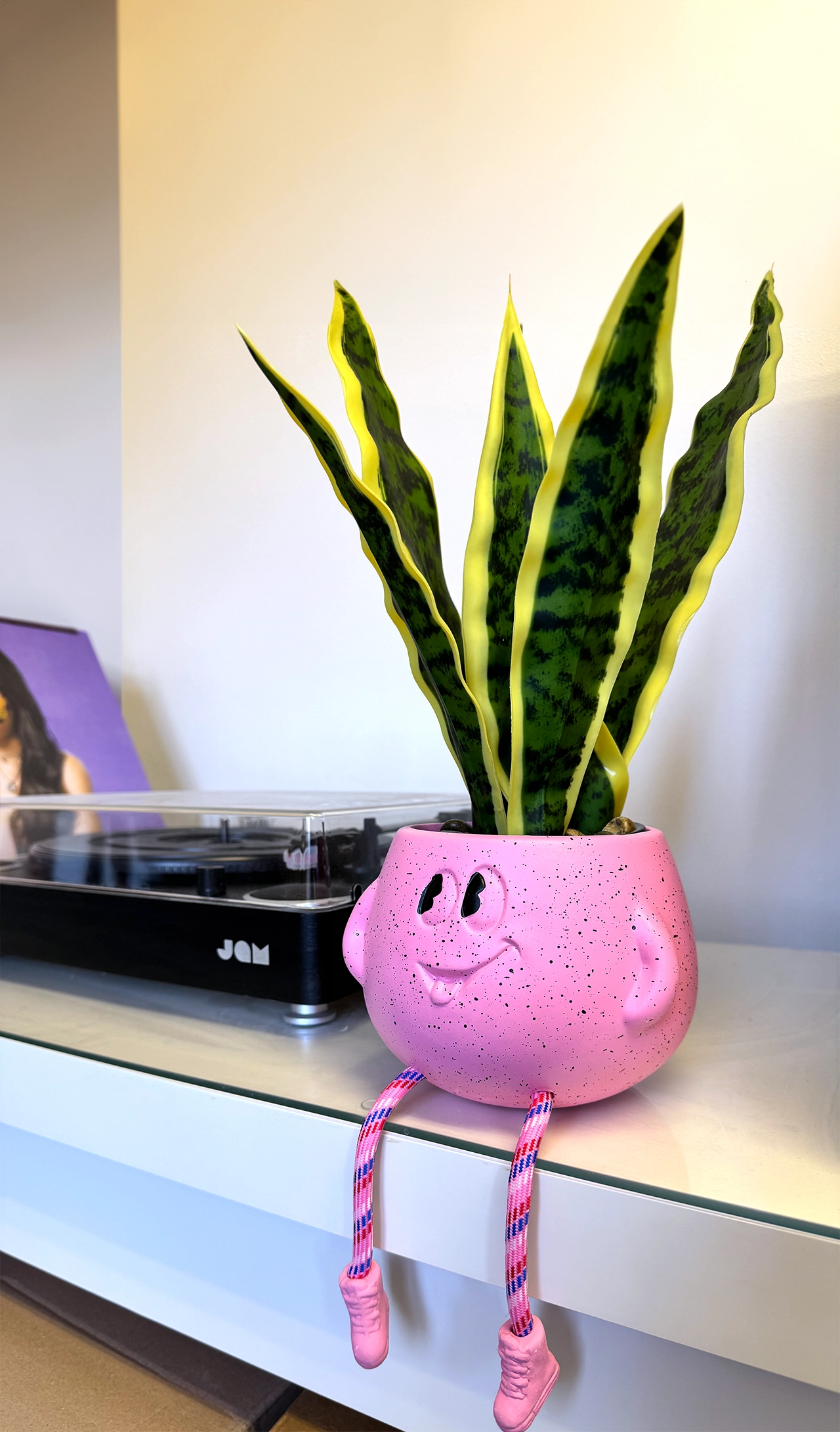 A quirky plant pot which features in the PWF Studio office